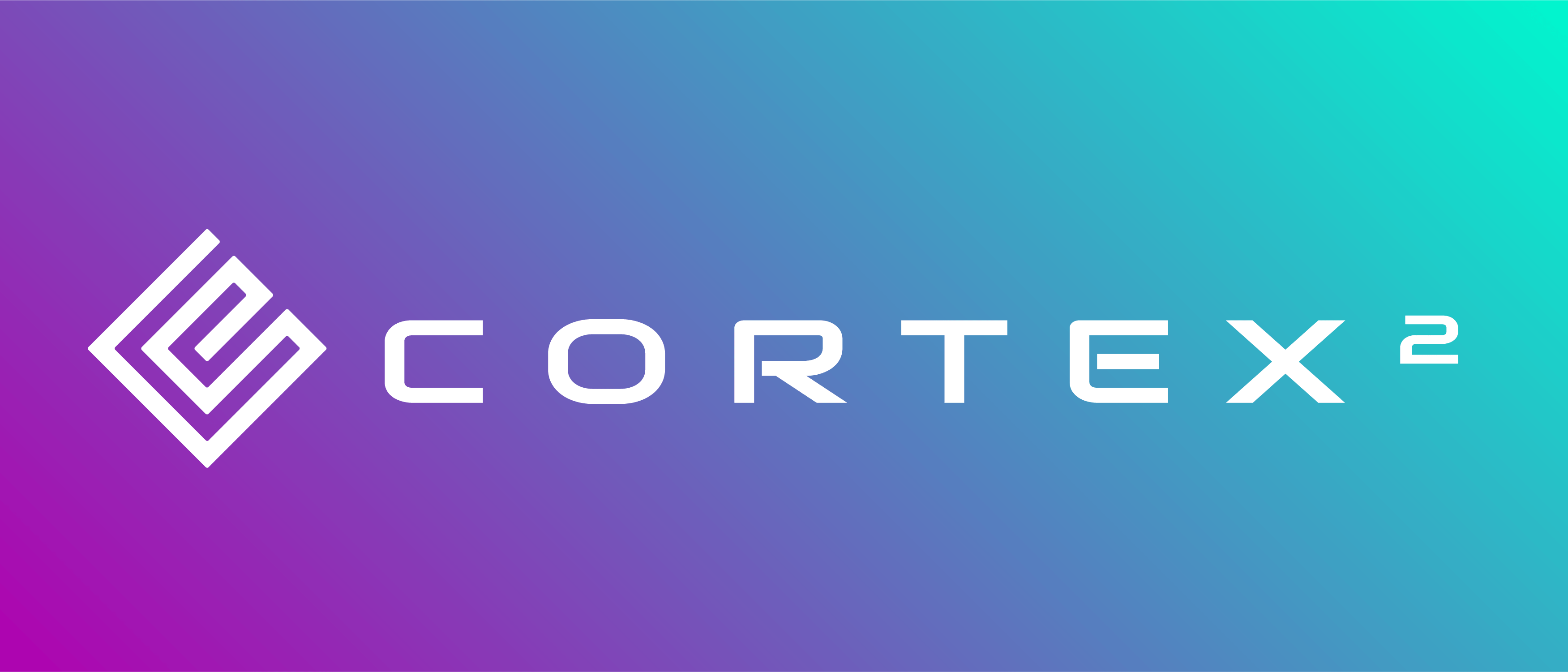 Cortex2